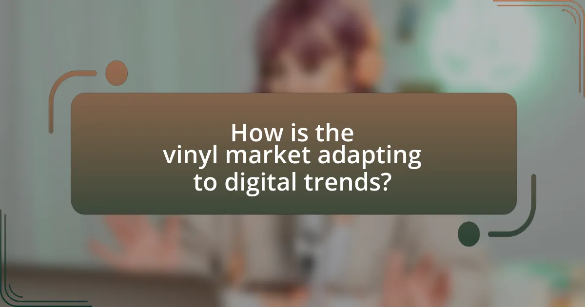 How is the vinyl market adapting to digital trends?